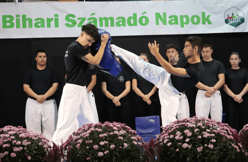 kép_2025-10-16_084553206.png